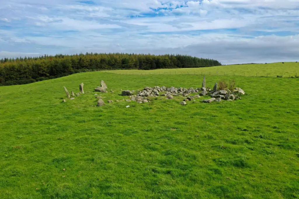 A view of Bocanstone circle in a field with trees behind