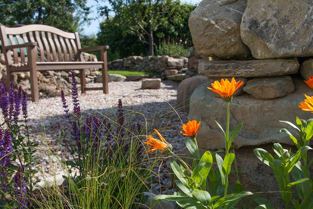 An outdoor seating area in the garden